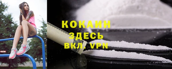 spice Бородино