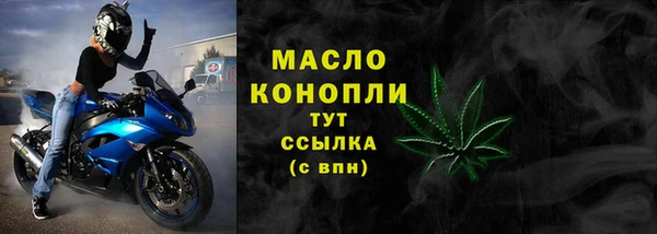 spice Бородино