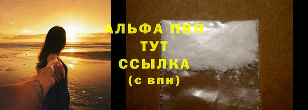 spice Бородино