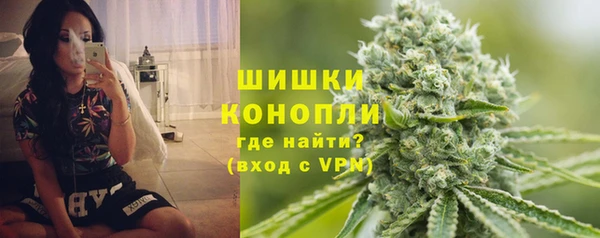 spice Бородино