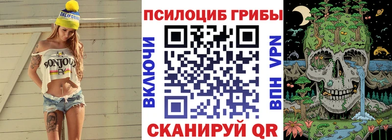 Галлюциногенные грибы Psilocybine cubensis  Купить где  Волоколамск 