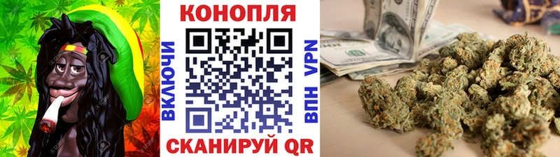 Конопля Bruce Banner  Купить где  Волоколамск 